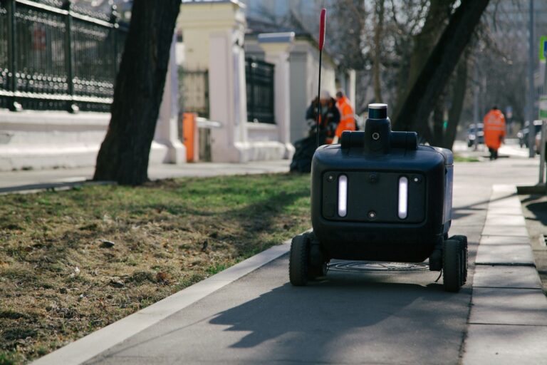 Last-Mile Delivery: The Maturity of Autonomous Robots